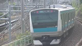 E233系1000番台サイ161編成