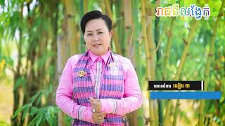 ការប្រារព្ឋដាំដើមពោធិ៍នៅមហារមណីយដ្ឋានរាជនីលង្វែកចំនួន500ដើមពិតជាមានអត្ថន័យបំផុត!