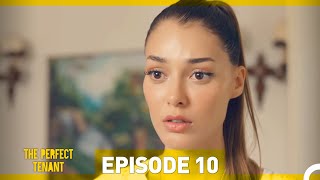 The Perfect Tenant  Episode 10