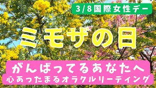 🌼がんばってるあなたへ🌼ミモザの日🌼国際女性デー👩‍🍼の心あったまる3択メッセージ💐