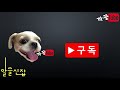 까꿍tv 꿀팁 알쓸신잡 전기세 폭탄을 막자 생활속 에너지를 절약하는 7가지 방법