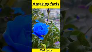 top 4 random facts in hindi unknown facts #facts #shortsviral #shorts