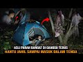 CAMPING HOROR! PALING JAHIL DIGANGGU dua Makhluk HALUS TAKUT HAMPIR PINGSAN SAMPAI LARI