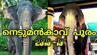 2018-2019 nedumankavu pooram|നെടുമൻകാവ് പൂരം 2018-19|