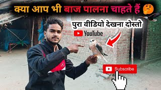 What to feed the eagle? Meat or fish 😋|full documentary ✅