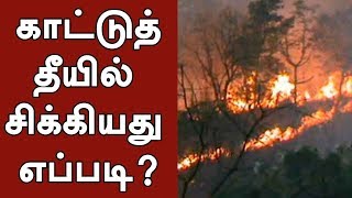 ஆர்வத்துடன் மலையேறிய குழுவினர் காட்டுத் தீயில் சிக்கியது எப்படி? #TheniForestFire