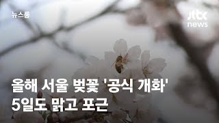 [날씨] 올해 서울 벚꽃 '공식 개화'…5일도 맑고 포근 / JTBC 뉴스룸