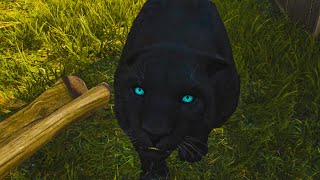 Oluso Pet Gameplay (Far Cry 6) HD
