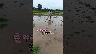 #జై రైతన్న #village #agriculture