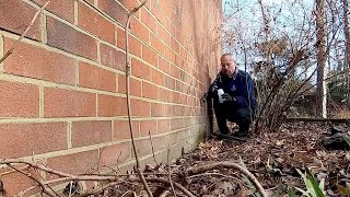 Henrico Reports Results of Well Tests in White Oak Area