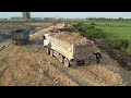 up new soil and dump trucks fill the soil bulldozer kumatsu pushing dirt