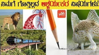 ನಿಮಗೆ ಗೊತ್ತಿಲ್ಲದ ಆಶ್ಚರ್ಯಕರ ವಿಷಯಗಳು! | Surprising Things You Didn't Know in Kannada Unknown Facts