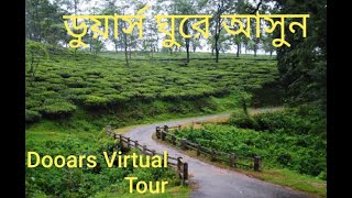 Beautiful Dooars..!! Virtual Tour of Dooars / ডুয়ার্স এর অপরূপ সৌন্দর্য বাড়িতে বসে উপভোগ করুন