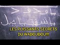 *Prof Cissé dévoile les énormes secrets du WADOUDOU*