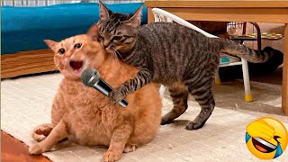 Funniest Cats And Dogs Videos 🥰 - Best Funny Animal Videos 2023 🥰 #2