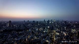 ひかりの国のあかり-運命009（東京大阪の夕景夜景タイムラプス2023年4月版）