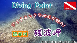 エントリーして直ぐ40〜50㍍の水深のダイナミックな地形が楽しめる沖縄随一のビーチポイント😀