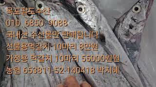 목포먹갈치가 싸네요 (미리 미리 선물하세요 )선물용먹갈치10마리 8만원 가정용 10마리 55000원