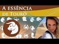 CARATERÍSTICAS DE  TOURO - PERSONALIDADE DO SIGNO DE TOURO