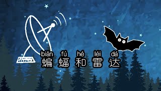 ZhongWen Book8 Lesson8 Text | 中文第八册第八课 蝙蝠和雷达