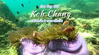 One Day Trip Koh Chang | ทริปดำน้ำเกาะช้าง 5 เกาะ เต็มวัน | อุทยานหมู่เกาะรัง