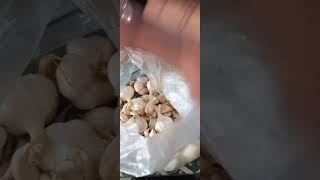 பூண்டு தோலை நொடியில் உரித்திடலாம்/HOW TO REMOVE GARLIC PEEL EASY METHOD/Mr and Mrs Bindhu