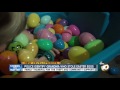 police identify woman who stole chula vista boy s easter eggs