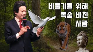 🕊️ 비둘기를 위해 목숨 바친 사람 [4K]