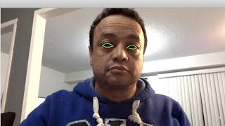 Drowsiness Detection Using Computer Vision