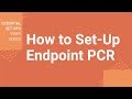 How Do I Set-Up Endpoint PCR?