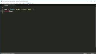 Python Programming Series (Input and Output 3): Keyboard input