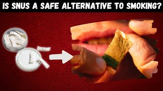 The Truth About Snus Benefits Risks And What You Should Consider