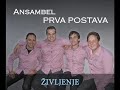 ansambel prva postava Življenje