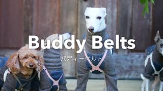 BuddyBelts （バディーベルト）