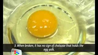 Beware of fake eggs !