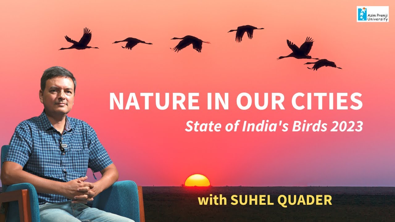 Nature In Our Cities: Insights From The State Of India's Bird Report ...