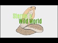 Sterrin's Wild World is finally on YouTube!