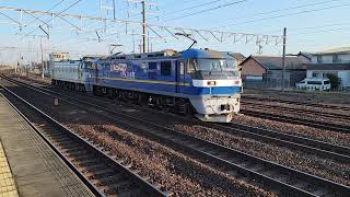 【貨物】桃太郎EF210-351+EF66-127重連   清洲駅通過