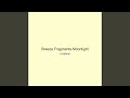Breeze Fragments Moonlight