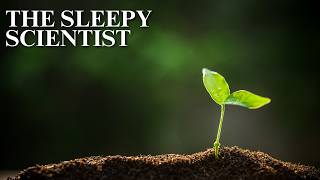 How Plants Evolve to Survive | Science for Sleep
