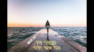 מאיר זיו - בכל אשר תלכי (קאבר)