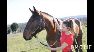 Shooting photos 25.02.19 Vulpin et océane