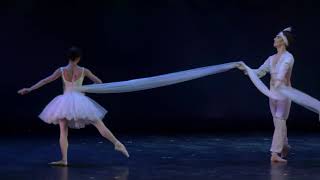 Pas de deux form \