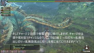 MHFG　10.1　ジンオウガ　PT戦における双剣の立ち回り例～纏雷で避雷～