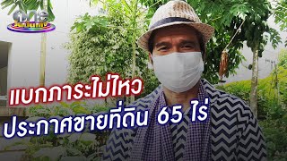 “ปอยฝ้าย” แบกภาระไม่ไหว ประกาศขายที่ดิน 65 ไร่ | ประเด็นร้อน