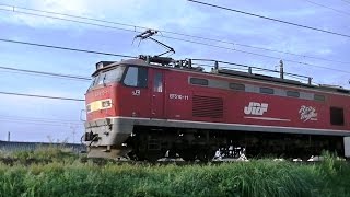 ﾚｯﾄﾞｻﾝﾀﾞｰEF510-11牽引　高速貨物4059ﾚ　大阪→新潟