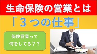 【生命保険の営業とは？】保険営業の「3つの仕事」についてお話しします。どんな仕事をしているのか？本当にたくさんの仕事をこなしています！保険営業の素晴らしい世界をご理解ください！！