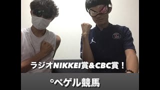 【ラジオNIKKEI、CBC 2022・予想】はじめての競馬予想動画！荒れる夏競馬で的中なるか！？#ラジオnikkei賞 #cbc賞