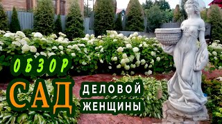 Сад ДЕЛОВОЙ ЖЕНЩИНЫ Яркий, цветочно-ягодный, ароматный!