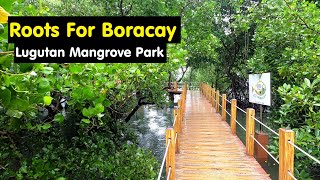 Roots For Boracay | Boracay Board Walk | Mangrove Rehabilitation Project